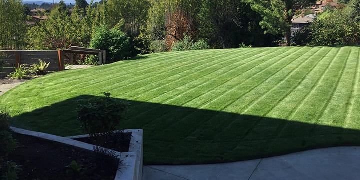 Lawn Care Service in Salem OR