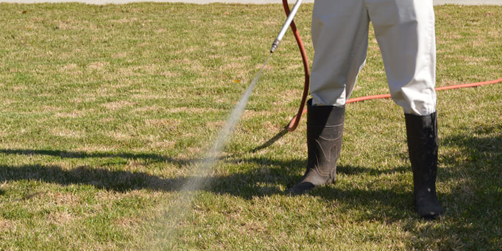 Lawn Fertilization Services in Salem OR