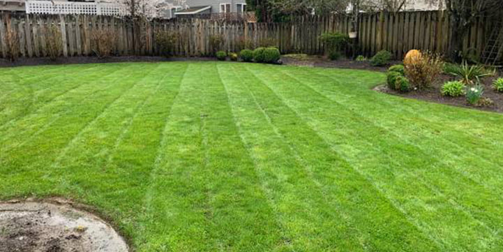 Lawn Mowing Solutions in Salem OR