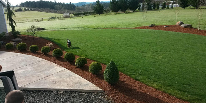 Lawn Service in Salem OR