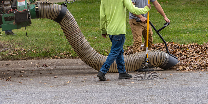 Leaf Removal Experts in Salem OR