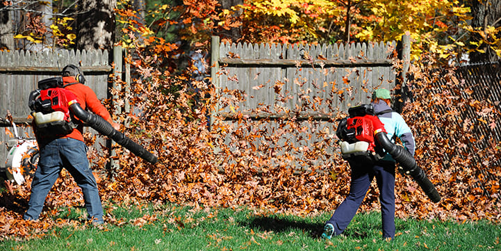 Leaf Removal in Salem OR