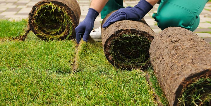 Sod Installation Company in Salem OR