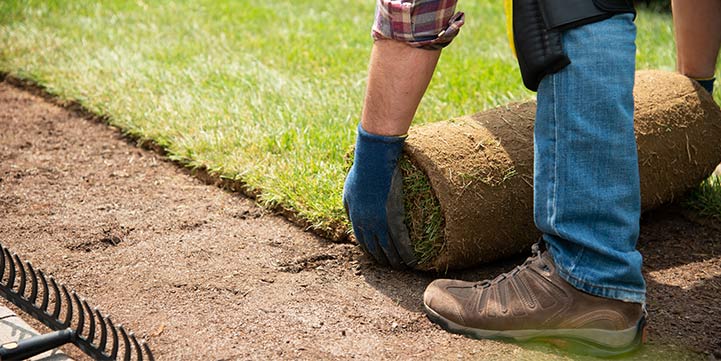 Sod Installation in Salem OR