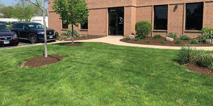 Spring Cleanup Solutions in Salem OR