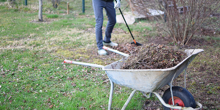 Spring Cleanups in Salem OR