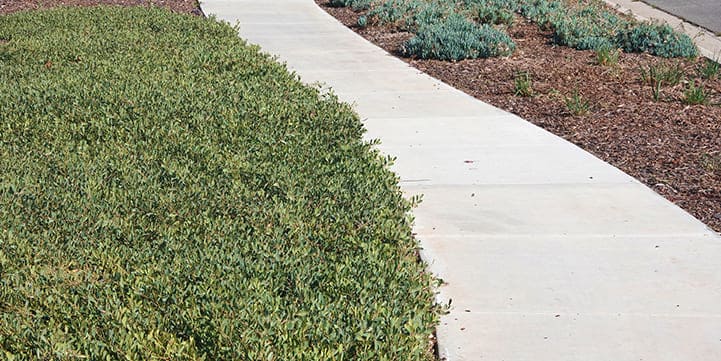 Walkway Installation in Salem OR