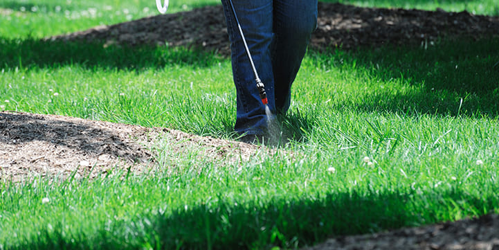 Weed Control Experts in Salem OR