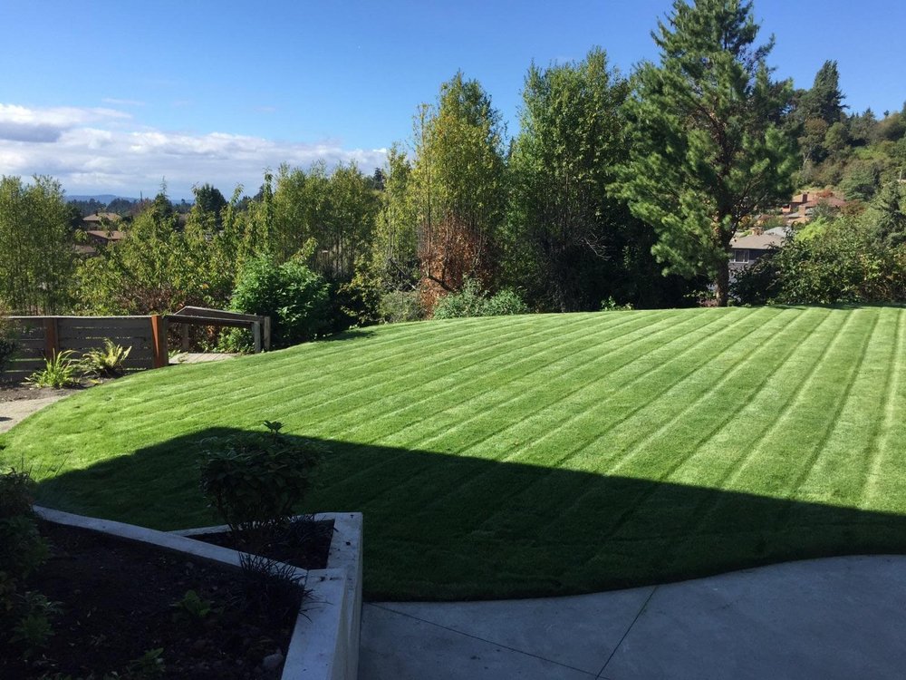 lawn maintenance service in Salem, OR