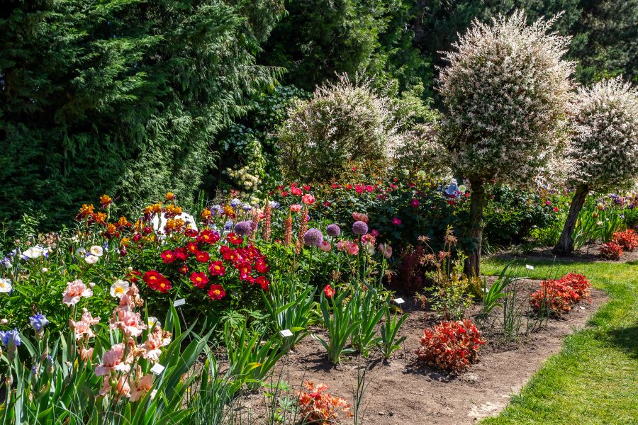 native plant landscape service in Salem