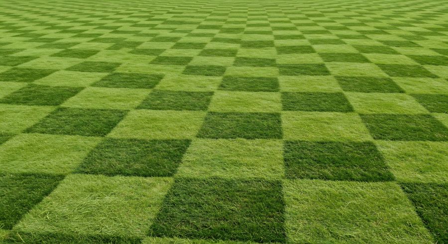 professional lawn striping in Salem, OR
